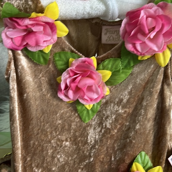 Fairy Dust Costume - Picture 14 of 15